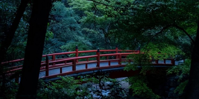 2560x1440 The Bridge HD wallpaper