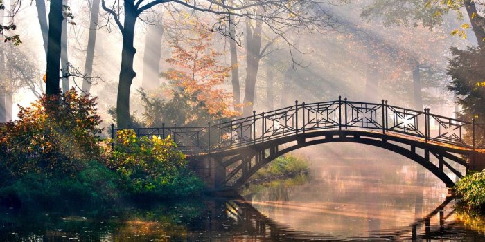 1332x850 Wallpaper Nature, Bridge, Wallpaper, Morning, River, Trees images for  desktop, section природа - download