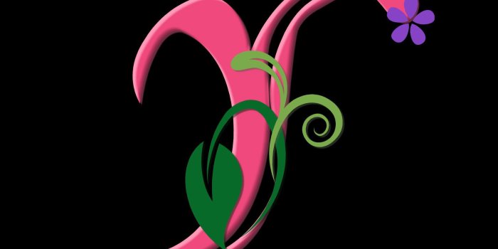 1900x1381 Y Wallpapers - Top Free Y Backgrounds - WallpaperAccess