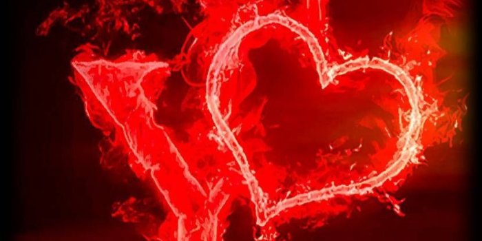 830x1280 Y Letter Wallpapers