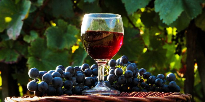 1920x1200 260+ Wine HD Wallpapers and Backgrounds