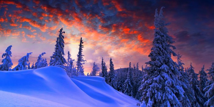 2560x1600 2560X1600 Wallpapers - Top Free 2560X1600 Backgrounds - WallpaperAccess