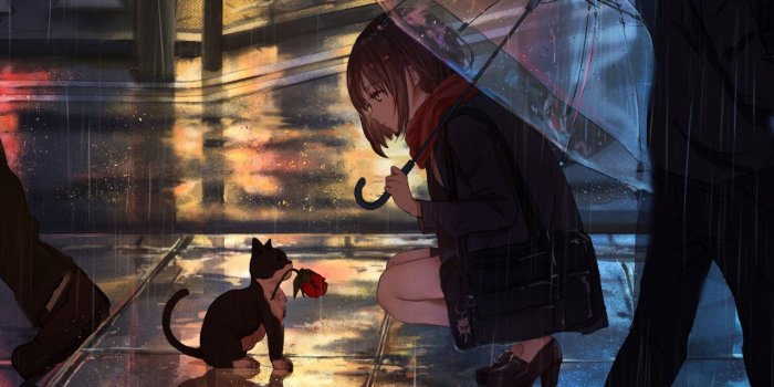 1280x1280 Download wallpaper 1280x1280 girl, kitten, flower, anime, street, rain  ipad, ipad 2, ipad mini for parallax hd background