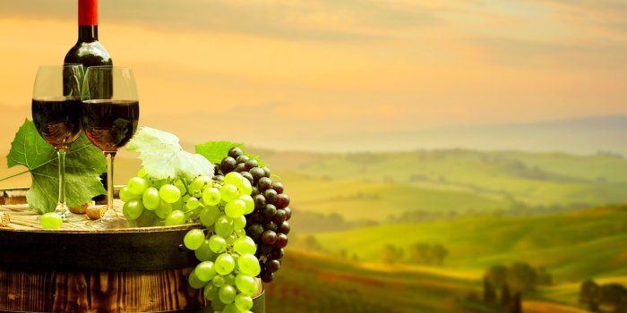 1332x850 Wallpaper leaves, landscape, background, wine, red, field, bottle, glasses,  grapes, tube, barrel, bokeh images for desktop, section еда - download