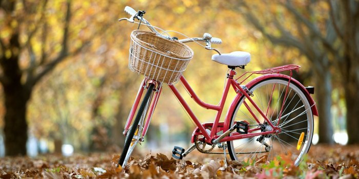 1920x1200 170+ Bicycle HD Wallpapers and Backgrounds