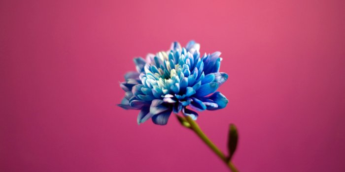 1920x1080 Download These 45 Pink Wallpapers Every Engineer Girl Will Love