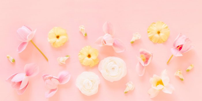 2560x1707 DIGITAL BLOOMS MAY 2020 | FREE DESKTOP WALLPAPER - JustineCelina