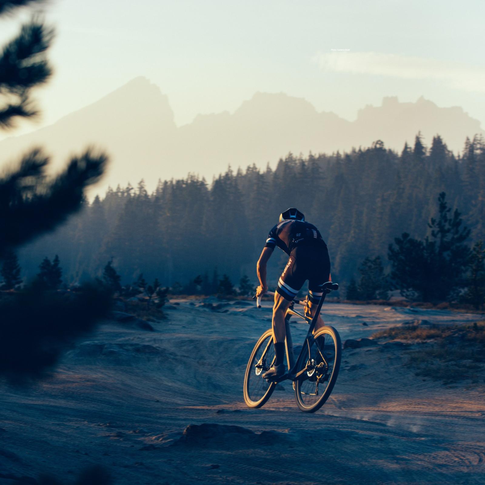 2500x2500 Reality Bikes