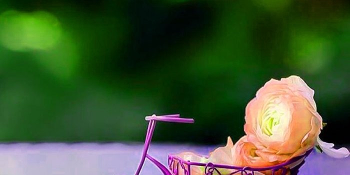 898x926 1692+ Sweet Images for Whatsapp Profile DP