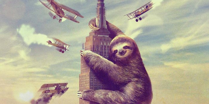 1600x1200 Sloth Wallpapers - Top Free Sloth Backgrounds - WallpaperAccess