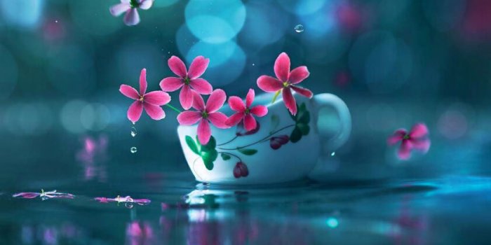 841x1024 52+ Latest & Best Whatsapp DP Images, Wallpaper, Photos, Pics in HD