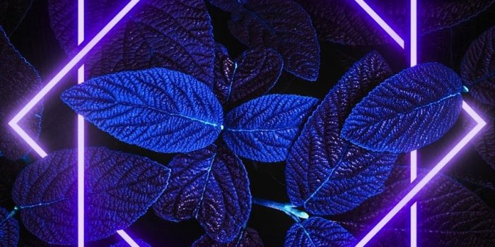 900x1600 Free download 150 BEAUTIFUL WHATSAPP DP IMAGES PICS PICTURES FOR MOBILE  Love [900x1600] for your Desktop, Mobile & Tablet | Explore 29+ 2020 Phone  Wallpapers | Christmas 2020 Phone Wallpapers, CNY 2020 Phone Wallpapers,  NBA Phone 2020 Wallpapers