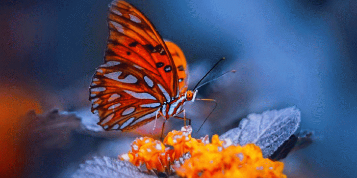 1080x1318 Different Whatsapp Dp Images Wallpaper HD - WhatsappImages