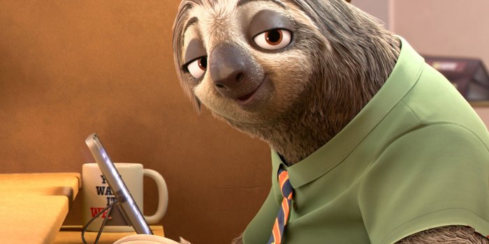 2560x1600 Free Download Sloth Wallpapers - PixelsTalk.Net