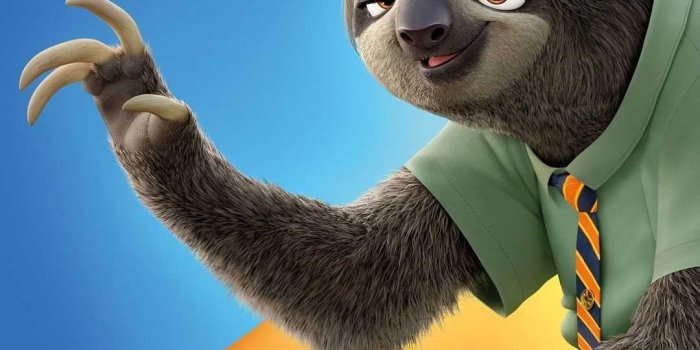 1080x1920 HD Sloths Wallpaper | WhatsPaper