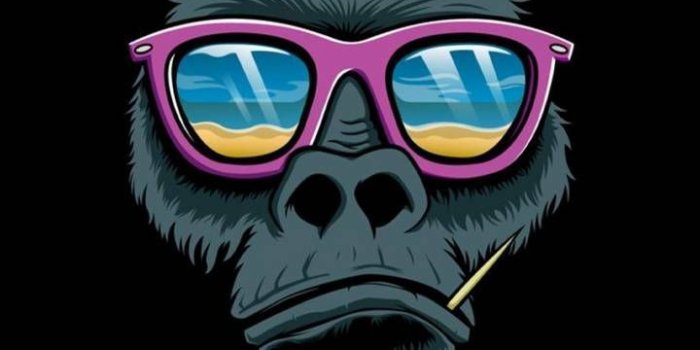 720x1280 Royal 4k Nice Whatsapp DP ( 2021 ) Images HD | Cool backgrounds, Monkey  wallpaper, Pop art wallpaper