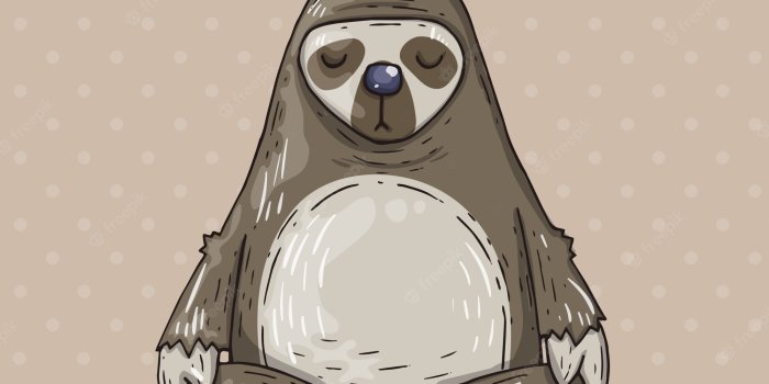 2000x2000 Baby Sloth Images | Free Vectors, Stock Photos & PSD | Page 2