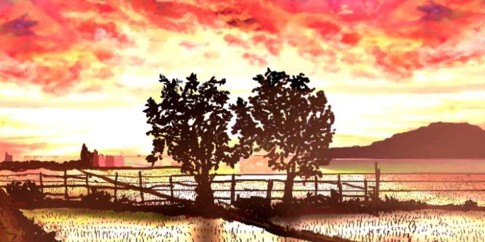 720x1600 Anime Nature