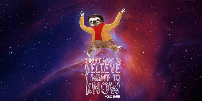 4800x2700 Sloth 4K wallpapers for your desktop or mobile screen free and easy to  download