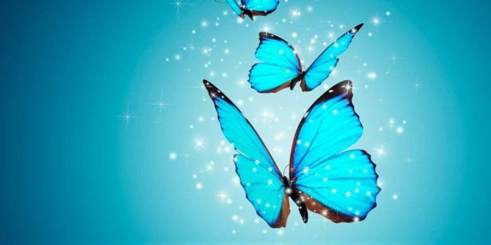 1012x900 GBWhatsapp & Whatsapp Plus Wallpapers For iPhone & Android HD 2022