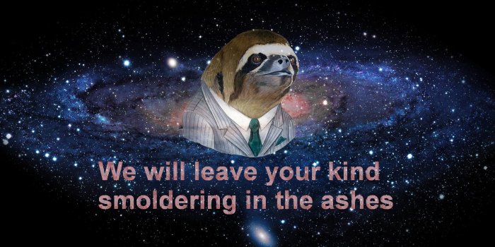 1920x1080 sloth wallpaper 3 | Sloths | Know Your Meme