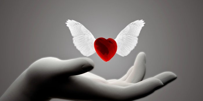 1600x1200 Whatsapp DP Images For Girls, Boys, Groups - Simple Shayari