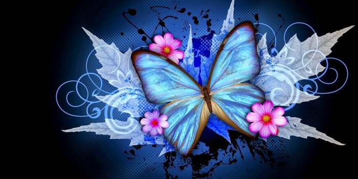 1920x1080 Hd Abstract Wallpaper - Beautiful Butterfly Images For Whatsapp Dp -  1920x1080 Wallpaper - teahub.io
