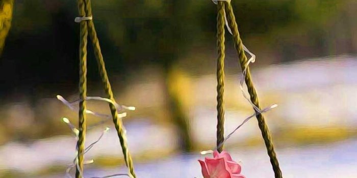 805x1080 Very Nice Dp Images