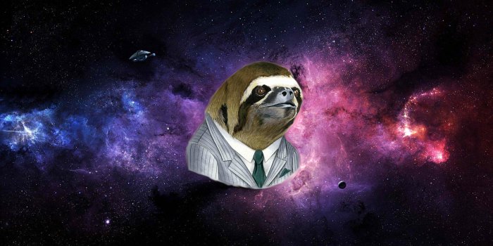 1920x1200 Sloth Backgrounds HD - PixelsTalk.Net