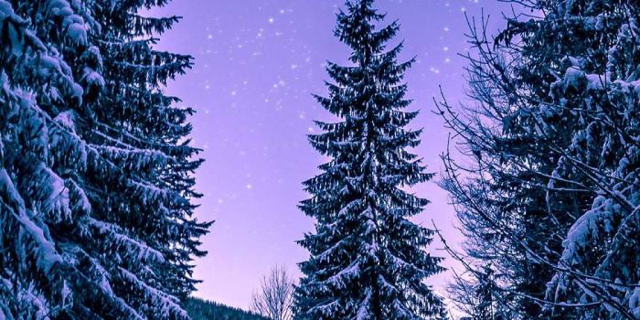 1120x2048 Cold Wallpaper | WhatsPaper