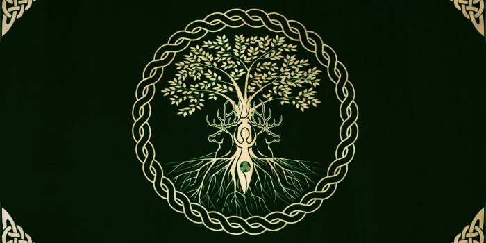 1920x1080 Celtic Wallpapers - Top Free Celtic Backgrounds - WallpaperAccess