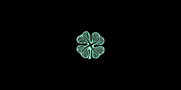 2560x1440 Celtic F.C. HD Wallpaper | Background Image | 2560x1440