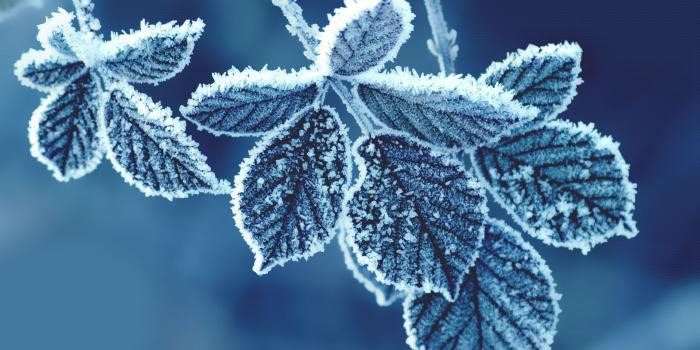 1920x1200 Cold HD Wallpapers - Top Free Cold HD Backgrounds - WallpaperAccess