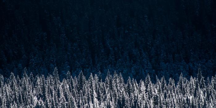 1000x1500 1000+ Cold Wallpaper Pictures | Download Free Images on Unsplash