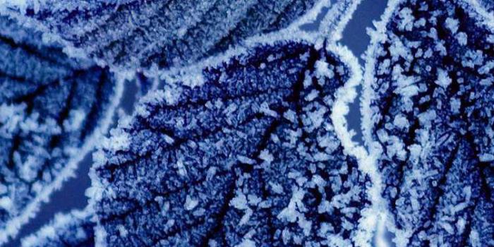 750x1334 Cold Wallpaper | WhatsPaper