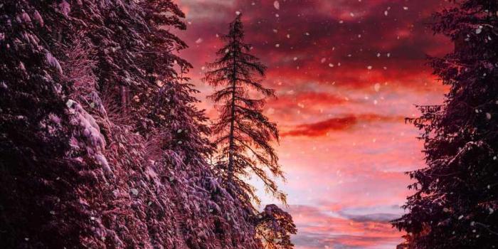 900x1600 Cold Road IPhone Wallpaper - IPhone Wallpapers : iPhone Wallpapers