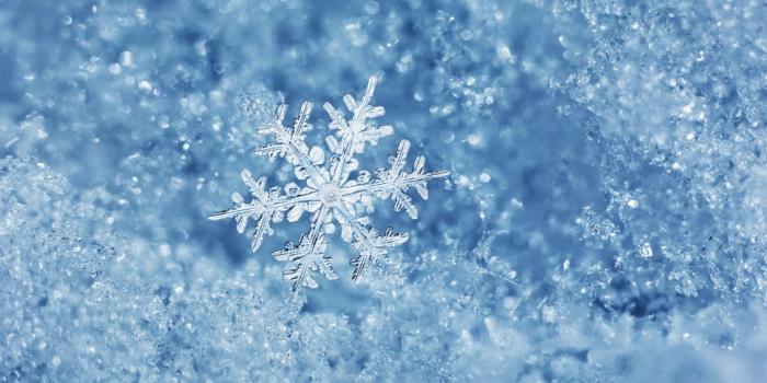 1130x706 Perfect snowflake cold and ice - Macro winter wallpaper