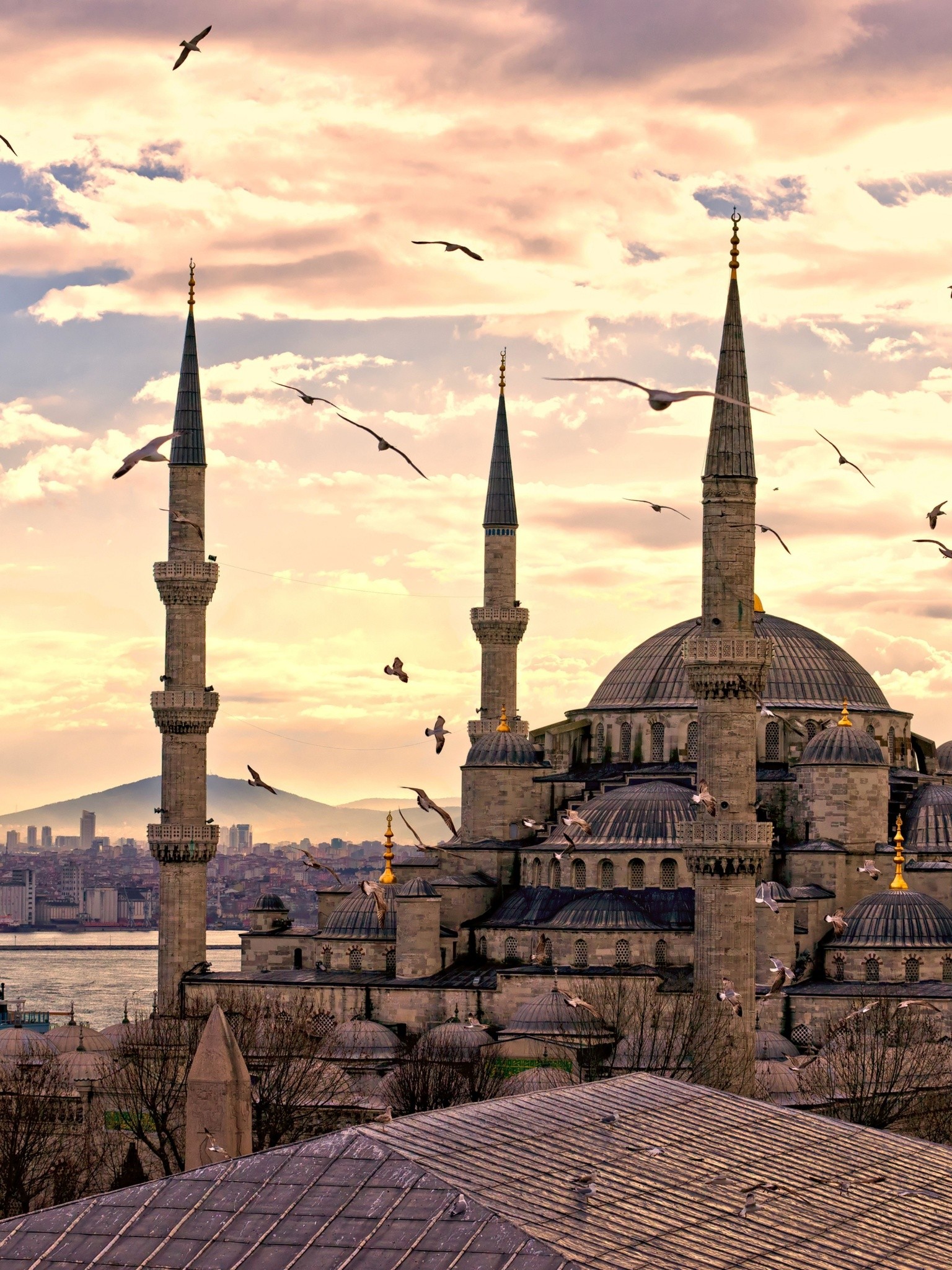 1536x2048 City Turkey Istanbul Sultanahmet Mosque Wallpaper - [1536x2048]