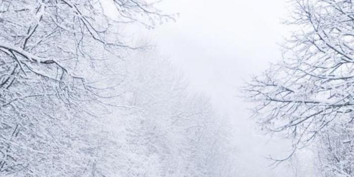 1080x1920 Winter iPhone HD Wallpapers