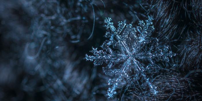 3628x2482 109,868+ Best Free Winter wallpaper Stock Photos & Images · 100%  Royalty-Free HD Downloads