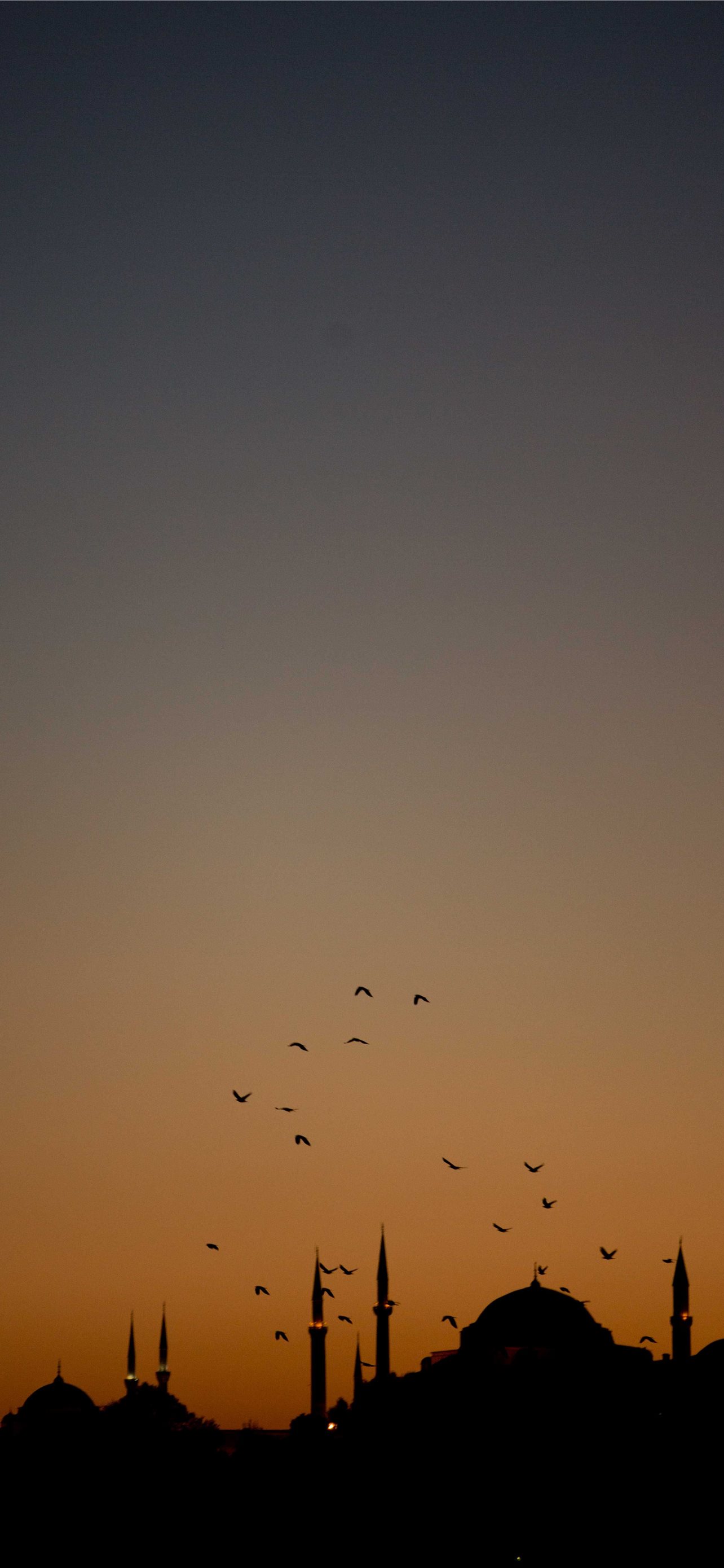 1284x2778 Latest Istanbul iPhone HD Wallpapers - iLikeWallpaper
