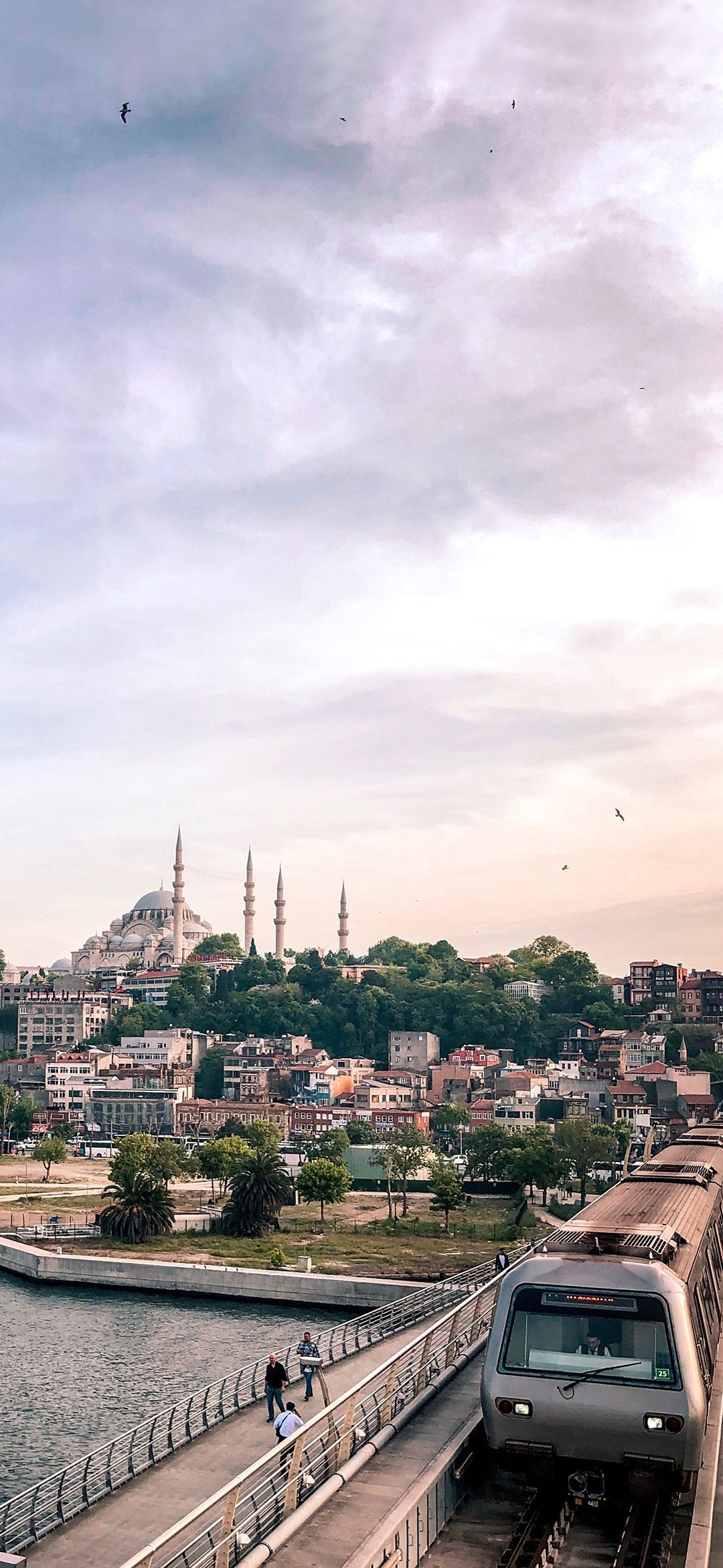 1080x2340 Süleymaniye Mosque in Istanbul City Wallpaper | Manzara, Mimari  fotoğrafçılık, Dini mimari