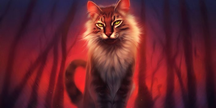3508x1973 Warrior Cat 4k, HD Artist, 4k Wallpapers, Images, Backgrounds, Photos and  Pictures