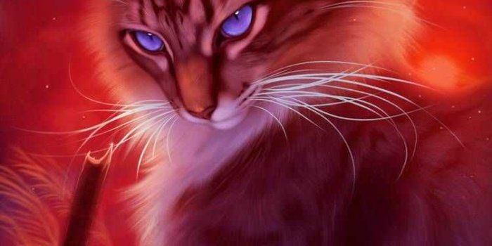 751x1063 Warrior Cats Wallpaper | WhatsPaper
