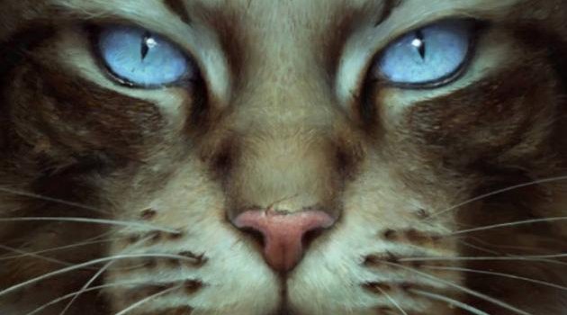 630x1280 Warrior Cats wallpaper by ClearSkyOfSkyClan - Download on ZEDGE™ | 1786