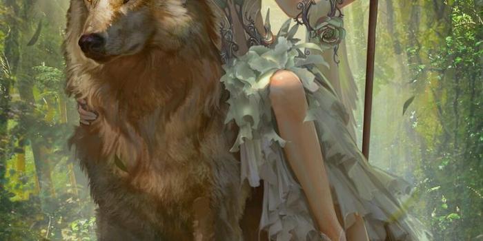 736x1104 Fantasy Elf Wallpapers