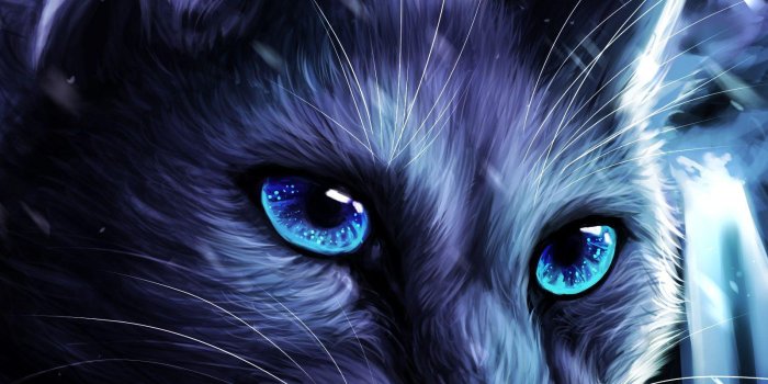 1600x2300 Warrior Cats Wallpaper 2022 - Broken Panda