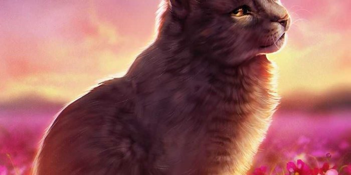 896x1152 Warrior Cats Wallpaper | WhatsPaper