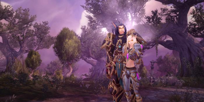 1920x1080 Blood Elf Paladin Animated Wallpaper : r/wow