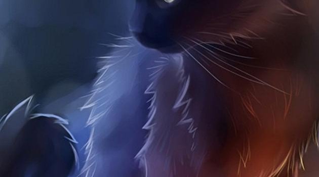 630x1280 Warrior Cat wallpaper by SilverFur25 - Download on ZEDGE™ | 68a6